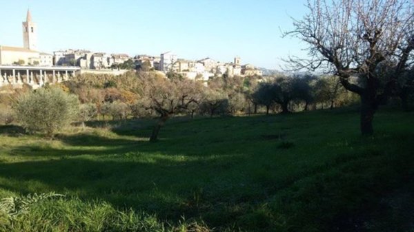 casa indipendente in vendita ad Appignano del Tronto