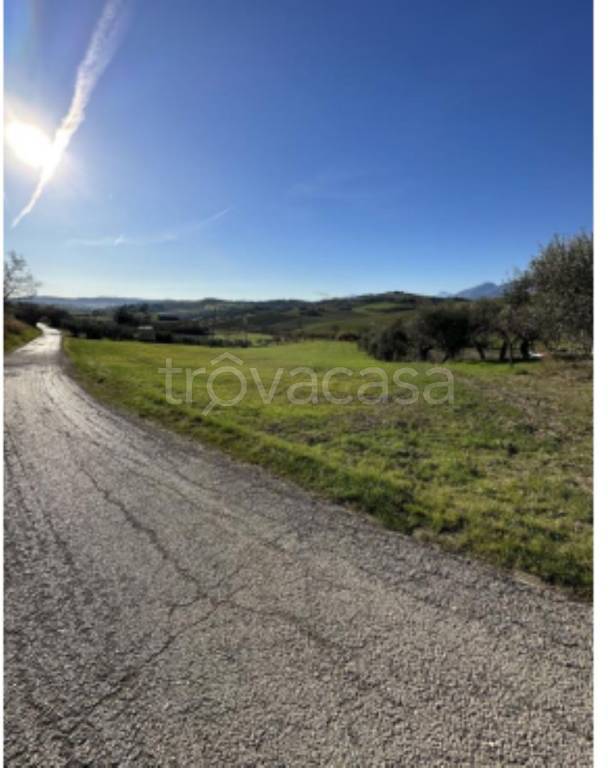 terreno agricolo in vendita ad Appignano del Tronto