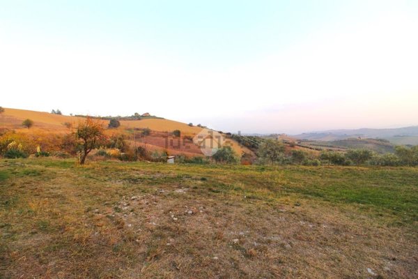 terreno agricolo in vendita ad Appignano del Tronto