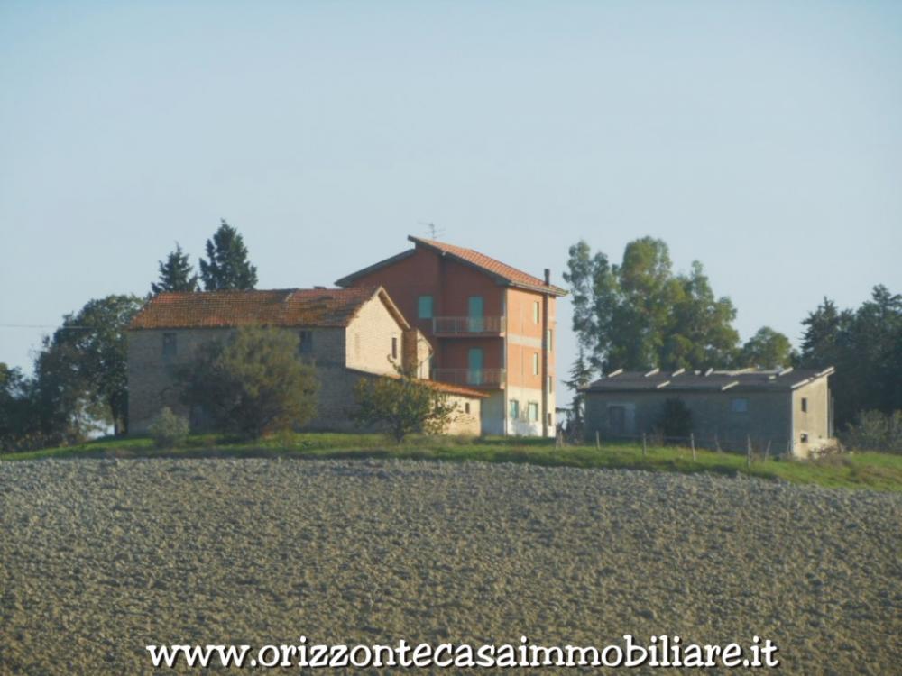 azienda agricola in vendita ad Appignano del Tronto