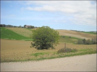 casa indipendente in vendita ad Appignano del Tronto in zona San Francesco