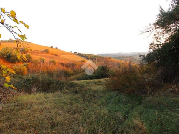 terreno agricolo in vendita ad Appignano del Tronto in zona San Francesco