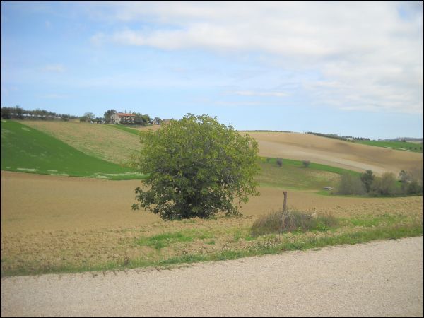 casa indipendente in vendita ad Appignano del Tronto in zona San Francesco