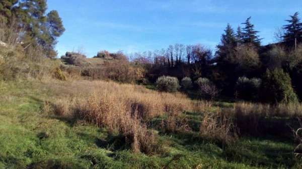 terreno agricolo in vendita ad Ascoli Piceno