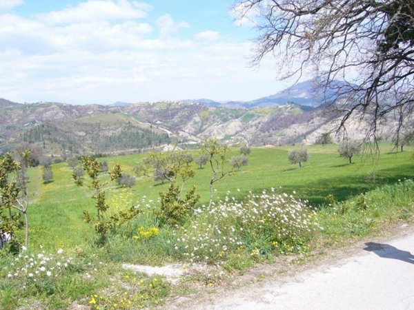 terreno agricolo in vendita ad Ascoli Piceno in zona Rosara