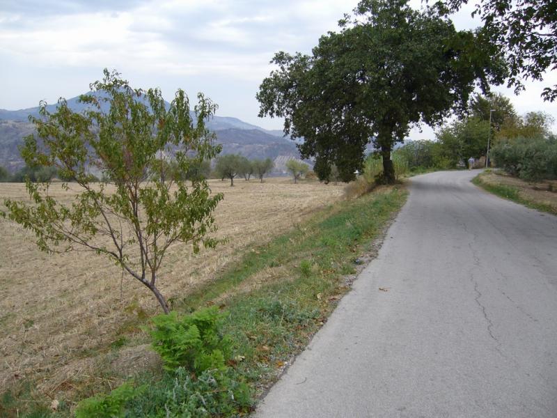 terreno agricolo in vendita ad Ascoli Piceno in zona Rosara