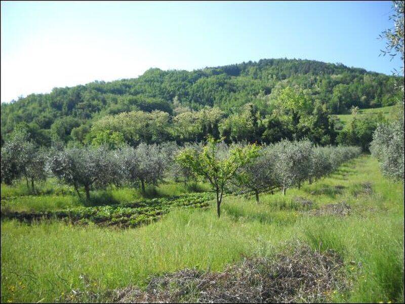 terreno agricolo in vendita ad Ascoli Piceno in zona Rosara