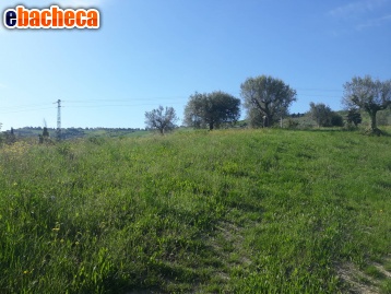 terreno edificabile in vendita ad Ascoli Piceno in zona Marino del Tronto