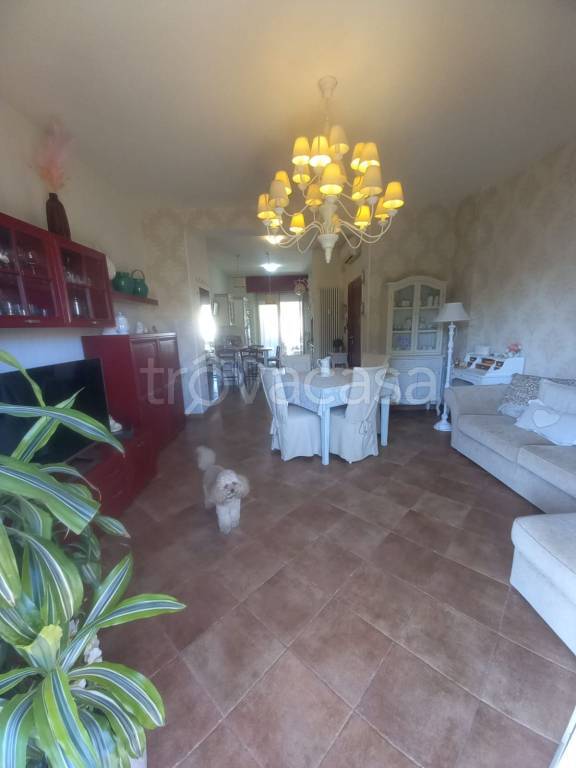 appartamento in vendita ad Ascoli Piceno in zona Borgo Solestà