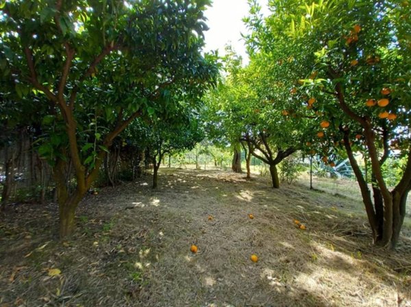 terreno agricolo in vendita ad Ascoli Piceno in zona Porta Maggiore