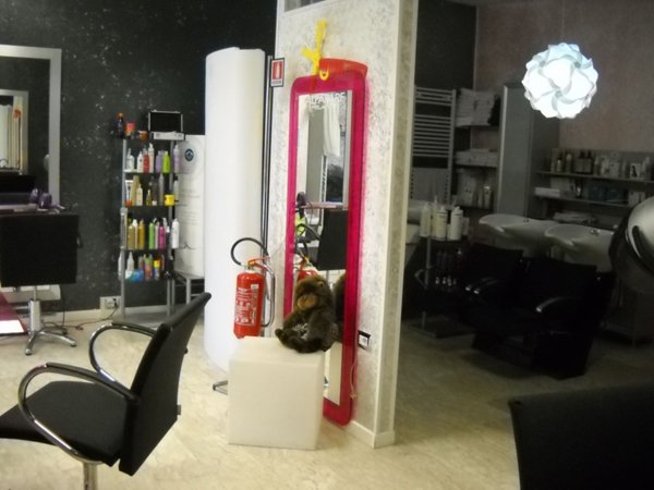 negozio in vendita ad Ascoli Piceno