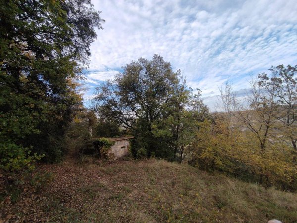 terreno agricolo in vendita ad Ascoli Piceno in zona Campolungo