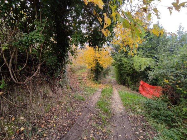 terreno agricolo in vendita ad Ascoli Piceno in zona Campolungo