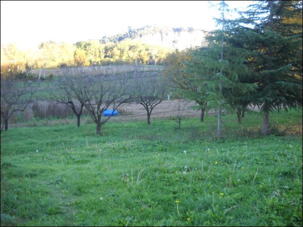 casa indipendente in vendita ad Ascoli Piceno