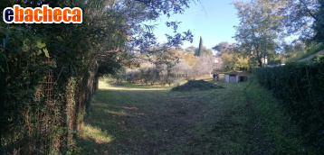 casa indipendente in vendita ad Ascoli Piceno in zona Centro Storico