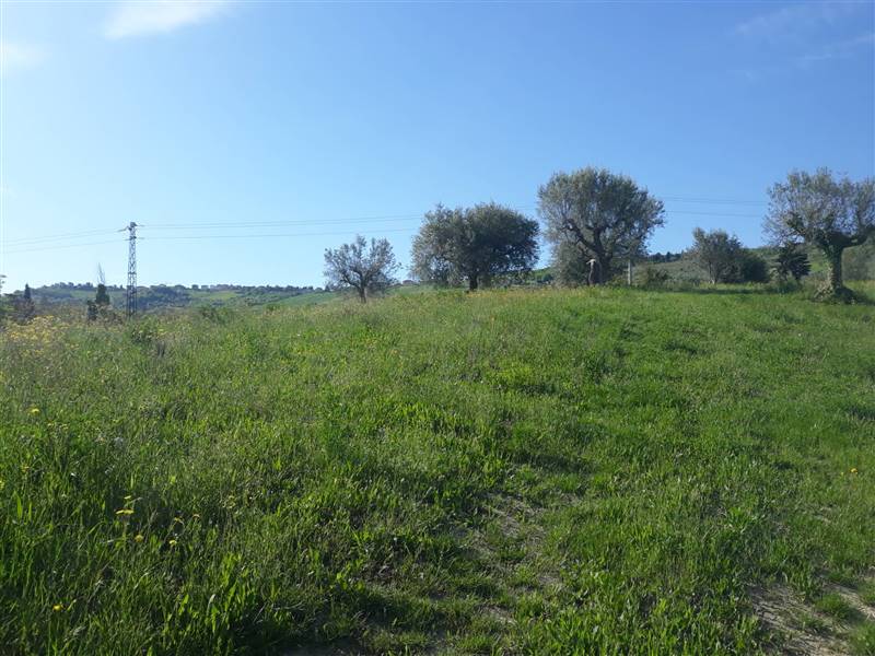 terreno agricolo in vendita ad Ascoli Piceno