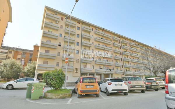 immagine annuncio 0 di 15