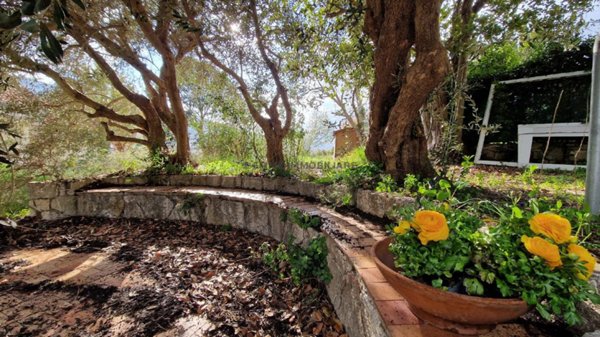 casa indipendente in vendita ad Ascoli Piceno in zona Monticelli