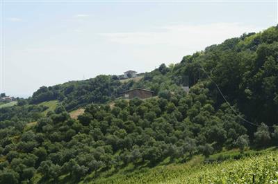 casa indipendente in vendita ad Ascoli Piceno