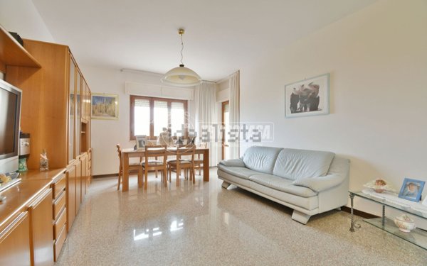 immagine annuncio 0 di 15