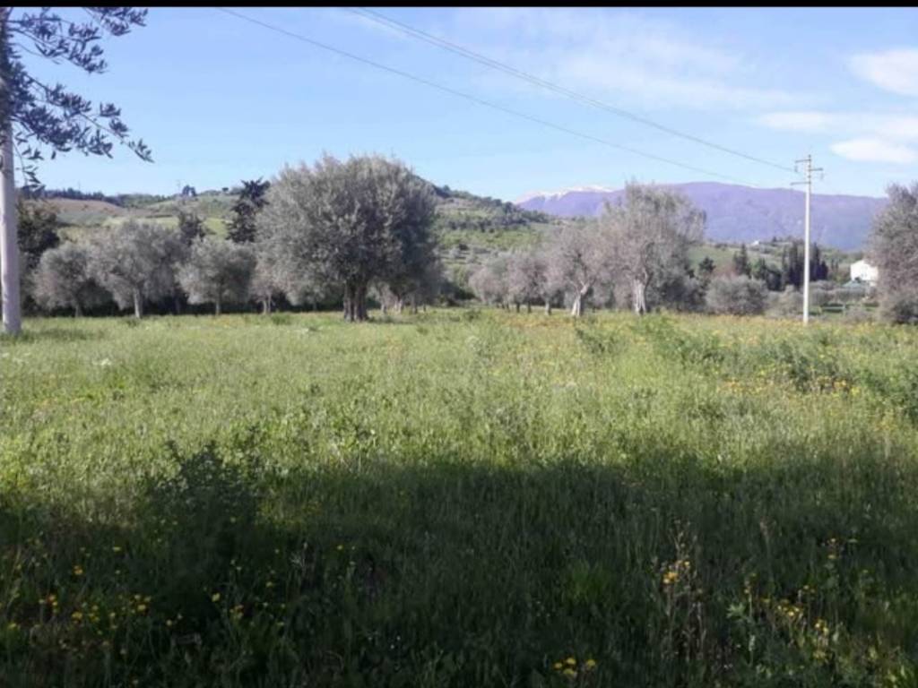 terreno agricolo in vendita ad Ascoli Piceno in zona Croce di Tolignano
