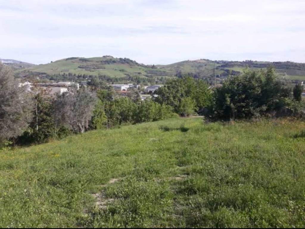terreno agricolo in vendita ad Ascoli Piceno in zona Croce di Tolignano