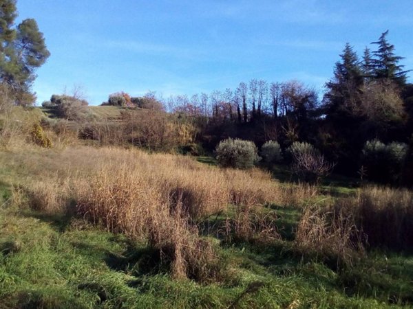 terreno agricolo in vendita ad Ascoli Piceno