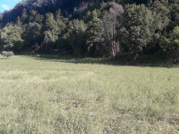 terreno agricolo in vendita ad Ascoli Piceno in zona Rosara