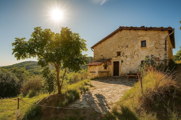 pentavano in vendita ad Ascoli Piceno in zona Rosara