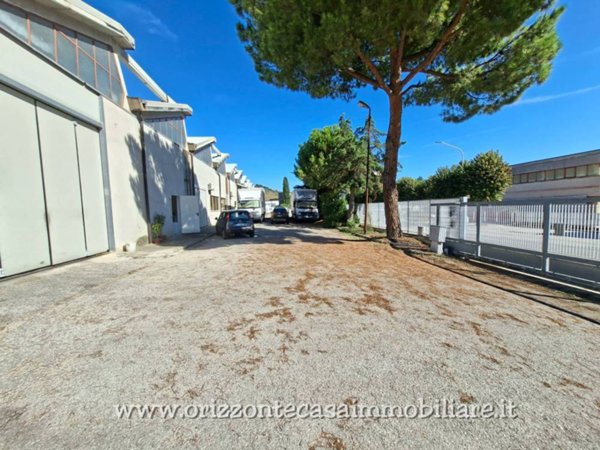 casa indipendente in vendita ad Ascoli Piceno