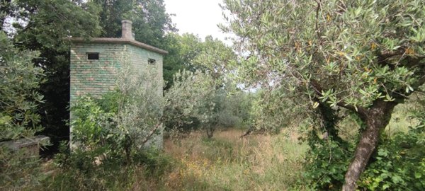 terreno agricolo in vendita ad Ascoli Piceno in zona Rosara