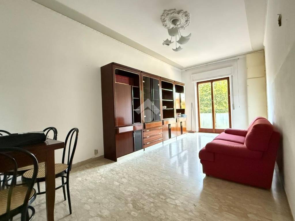 immagine annuncio 0 di 15