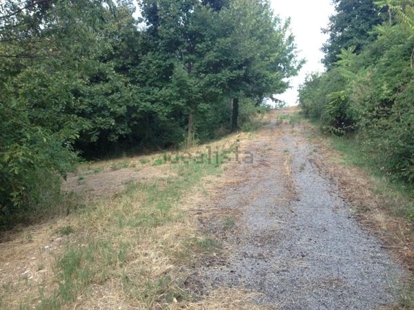 pentavano in vendita ad Ascoli Piceno in zona Piagge