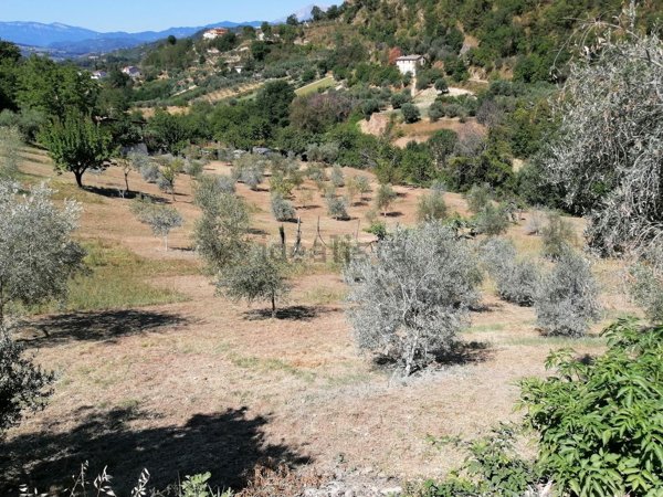 casa indipendente in vendita ad Ascoli Piceno in zona Borgo Chiaro