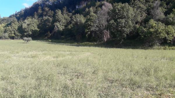 negozio in vendita ad Ascoli Piceno in zona Rosara