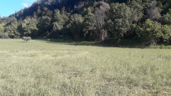 terreno edificabile in vendita ad Ascoli Piceno in zona Rosara