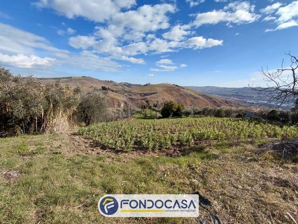 terreno agricolo in vendita ad Ascoli Piceno in zona Poggio di Bretta