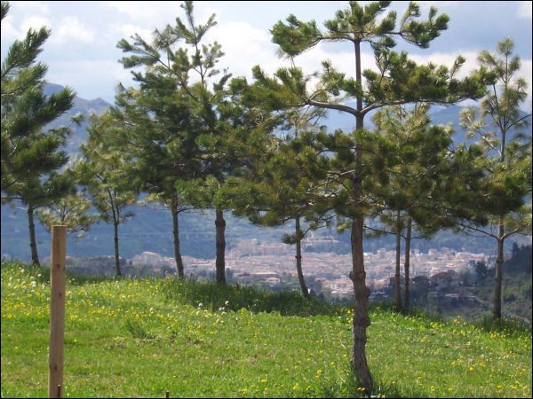 casa indipendente in vendita ad Ascoli Piceno in zona Vallevenere