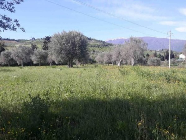 terreno agricolo in vendita ad Ascoli Piceno