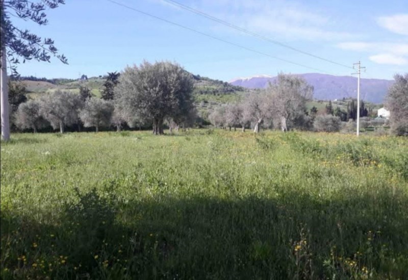 terreno in vendita ad Ascoli Piceno