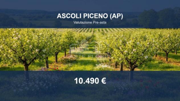 terreno agricolo in vendita ad Ascoli Piceno in zona Campo Parignano