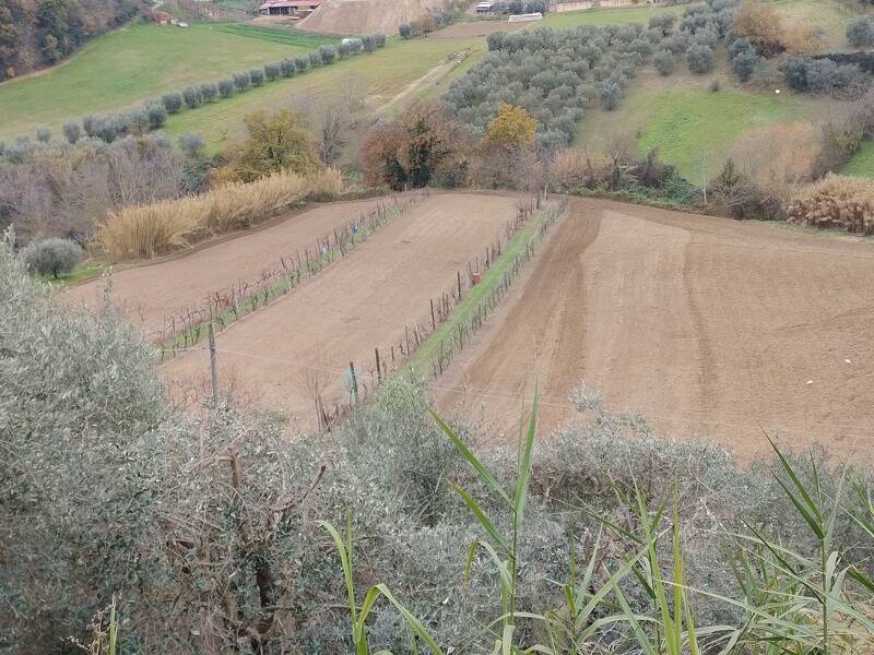 terreno agricolo in vendita ad Ascoli Piceno