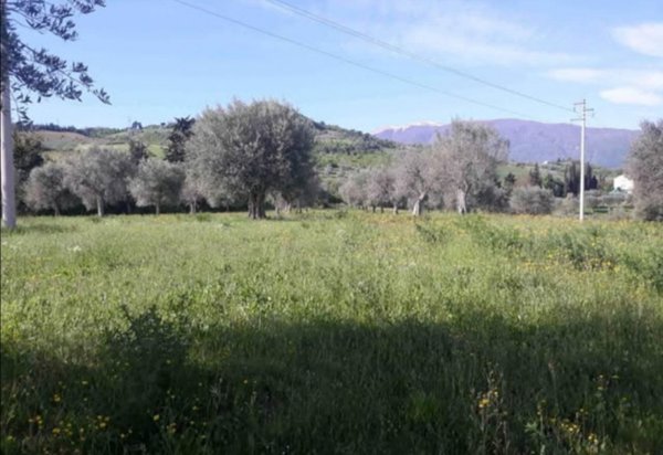 terreno agricolo in vendita ad Ascoli Piceno
