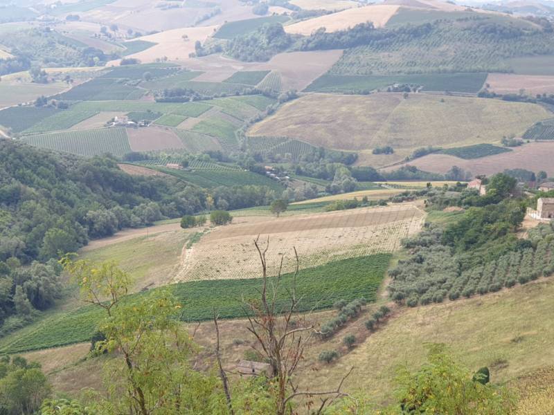 terreno edificabile in vendita a Carassai