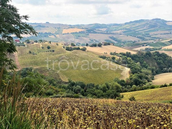 terreno agricolo in vendita a Carassai