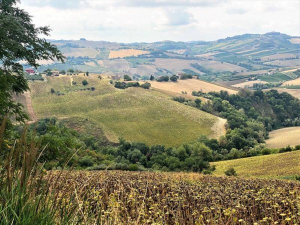 terreno agricolo in vendita a Carassai