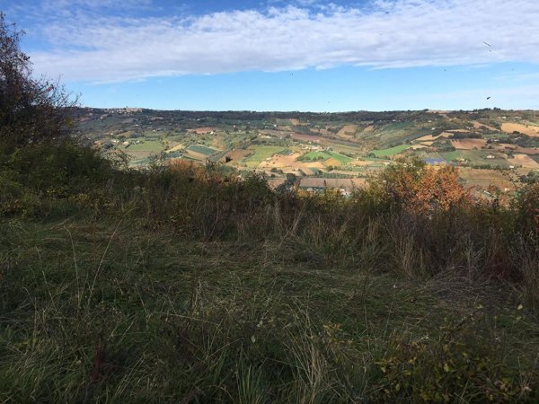 azienda agricola in vendita a Carassai