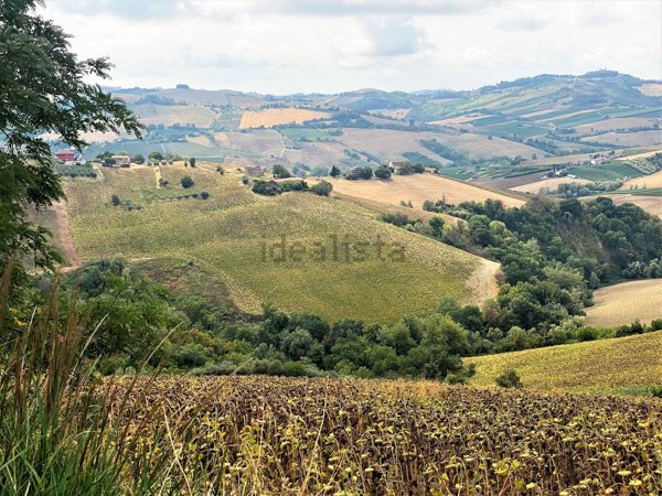 terreno agricolo in vendita a Carassai