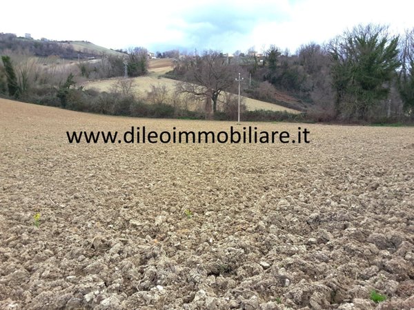 terreno agricolo in vendita a Carassai
