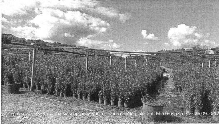 terreno agricolo in vendita a Carassai